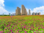 武汉将新建城市绿地2000公顷 相当于50座黄鹤楼公园 - 新浪湖北