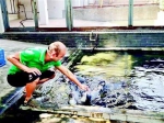 图为王师傅陪小企鹅在繁育室的水池试水 - Hb.Chinanews.Com