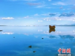 资料图：“天空之镜”茶卡盐湖。　张坤 摄 - 新浪湖北