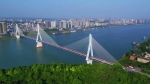 湖北省境内长江大桥全图鉴 38座长江大桥都在这了 - 新浪湖北