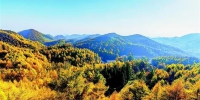 图为：建始县长岭岗林场醉人的秋色美景。（视界网向登本摄） - 新浪湖北