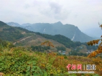 建设后的美丽乡村 - Hb.Chinanews.Com