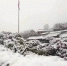 武当山景区内出现厚厚积雪　冯孔　摄 - 新浪湖北