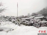 武当山景区内出现厚厚积雪　冯孔　摄 - 新浪湖北