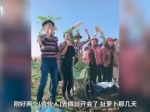 视频：谣言引千人拔光百万斤萝卜 农户欲哭无泪 - 新浪湖北