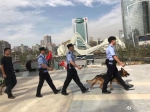 武汉2019年度实现“四案全破” 无一例嫌犯开枪案件 - 新浪湖北