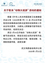 武汉海昌极地海洋公园公告 - Hb.Chinanews.Com