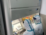 检测人员正在检测核酸样本。通讯员李晗 - 新浪湖北