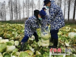 汉江消防“119党员突击队”与群众守望相助的一天 - Hb.Chinanews.Com
