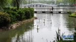 4月22日，游客在武汉动物园游玩。当日，在严格落实疫情防控措施的前提下，武汉动物园有序恢复开放。新华社记者 程敏 摄 - 新浪湖北