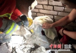 湖北咸宁：男孩被卡两墙之间 消防员破壁救人 - Hb.Chinanews.Com