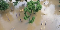 6月11日，广西柳江柳州市区河段洪水复涨，迎来本月第三轮超警戒水位洪峰。林馨 摄 - 新浪湖北
