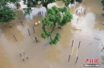 6月11日，广西柳江柳州市区河段洪水复涨，迎来本月第三轮超警戒水位洪峰。林馨 摄 - 新浪湖北