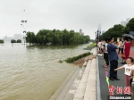7月9日，市民在汉口江滩三阳广场观江 张芹 摄 - 新浪湖北