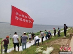 抢险队员在洪北大堤上铺设防浪布 孙克亮 摄 - Hb.Chinanews.Com