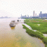 武汉关水位达21年最高 两江四岸江滩公园封闭管理 - 新浪湖北