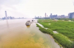 武汉关水位达21年最高 两江四岸江滩公园封闭管理 - 新浪湖北