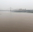图为受降雨影响，长江重庆主城段河水不断上涨。　刘相琳 摄 - 新浪湖北