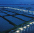 航拍长湖（摄于7月15日）　周星亮　摄 - 新浪湖北