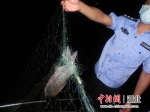 武汉警方对打击非法捕捞专项行动再部署 - Hb.Chinanews.Com