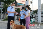 襄阳公安开展文明养犬专项治理行动 - Hb.Chinanews.Com
