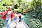 孩子们在咸丰县坪坝营景区森林里玩耍。（通讯员 罗洋 摄） - 新浪湖北