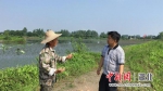 肖兰成（左）和郑启和在自家鱼塘边交谈 刘婷 摄 - Hb.Chinanews.Com