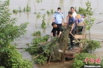 图为荆州民警在禁捕行动中收缴地笼网　汤健　摄 - 新浪湖北