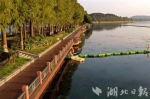 东湖水环境提升工程水生态示范区 - Hb.Chinanews.Com