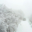 11月22日，一辆车行驶在湖北省襄阳市保康县后坪镇横冲景区的路上（无人机照片）。 - 新浪湖北