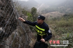 上山途中，李镇检查这些石头的身份“二维码”，以防有缺失。 - Hb.Chinanews.Com