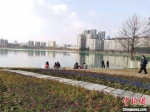 大年初二，天气晴好，武汉市在民户外亲近大自然　梁婷　摄 - 新浪湖北