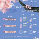 2021年武汉樱花花期预报出炉 2月底迎来初花期 - 新浪湖北