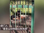 咸宁林业局回应“动物园以狗充狼”：原本有狼，已年老死亡 - 新浪湖北