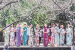 3月4日，武汉大学樱花悄然绽放。樱花树下，一群身着旗袍的曼妙女子在赏樱花、拍写真，她们是中建三局总承包公司参加“两山”医院建设的铁娘子。脱下工装、换上旗袍，用特有方式提前庆祝三八妇女节。“两山”医院建设期间，铁娘子们遗憾地错过樱花，今年该局认真组织，圆大家赏樱心愿。 （湖北日报全媒记者 梅涛 通讯员 吴渊 周燕妮 摄） - 新浪湖北
