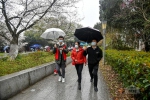抗疫医护赴约赏樱，近千师生提供志愿服务 - 武汉大学