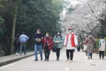 抗疫医护赴约赏樱，近千师生提供志愿服务 - 武汉大学