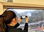 旅客坐在列车上拍摄沿途风景 郭爽 摄 - 新浪湖北