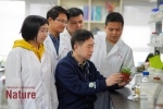 孙蒙祥课题组《自然》发文揭示植物受精奥秘 - 武汉大学