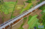 4月26日，中铁十一局建设者在安九高铁温碧岭特大桥进行铺轨作业（无人机照片）。新华社记者 杜华举 摄 - 新浪湖北