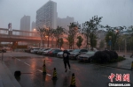 武汉遭遇强降雨突袭 张畅 摄 - 新浪湖北