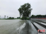持续上涨的江水已漫上汉口江滩低层亲水平台　张芹　摄 - 新浪湖北