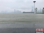 近期长江中下游干流水位持续上涨 张芹 摄 - 新浪湖北