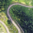 蕲春县绿唐线原是一条不足4米宽的简易水泥路，经改建升级后焕然一新，入选2020年度全国“十大最美农村路”。 - 新浪湖北