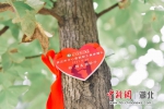 武汉市中心医院10对新人举行集体婚礼 - Hb.Chinanews.Com