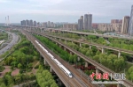 图为飞驰在京广高铁上的动车（彭琦 摄） - Hb.Chinanews.Com