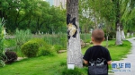 萌翻了！武汉一公园的大树里“钻出”小动物 - 新浪湖北