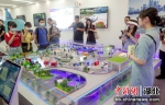 5G园区建设沙盘模型 - Hb.Chinanews.Com