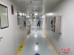 资料图：郑州人民医院核酸检测实验室内部的清洁区。 中新社记者 韩章云 摄 - 新浪湖北