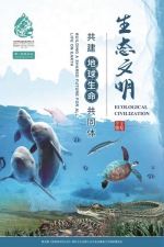 COP15大会的官方海报上，有来自湖北的江豚家庭“出席” - Hb.Chinanews.Com